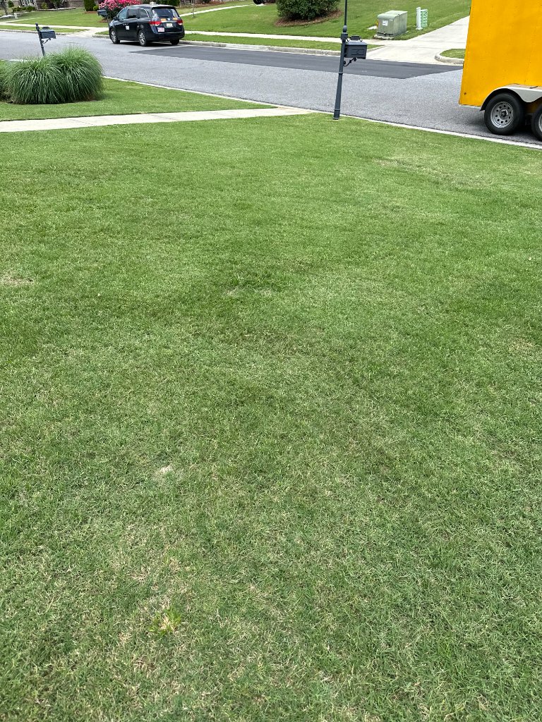 Grass Mowing & Edging example 1