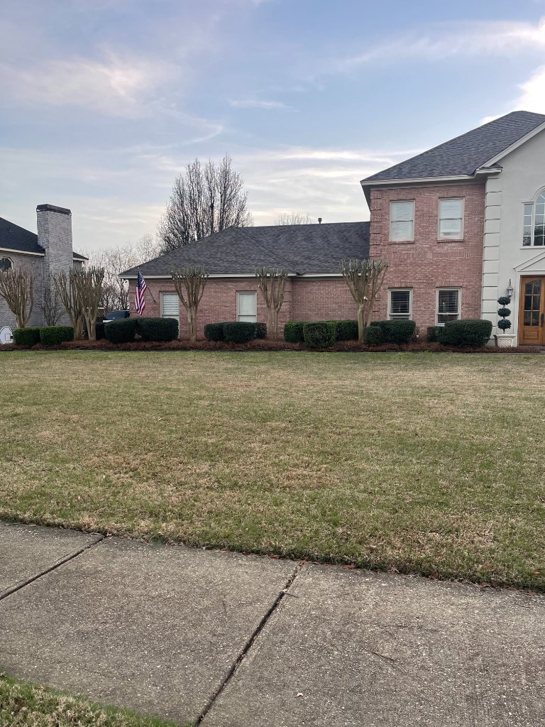 Pruning Services example 3
