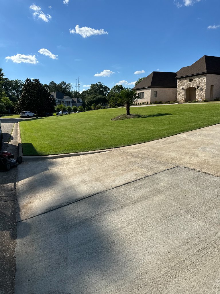 Grass Mowing & Edging example 2