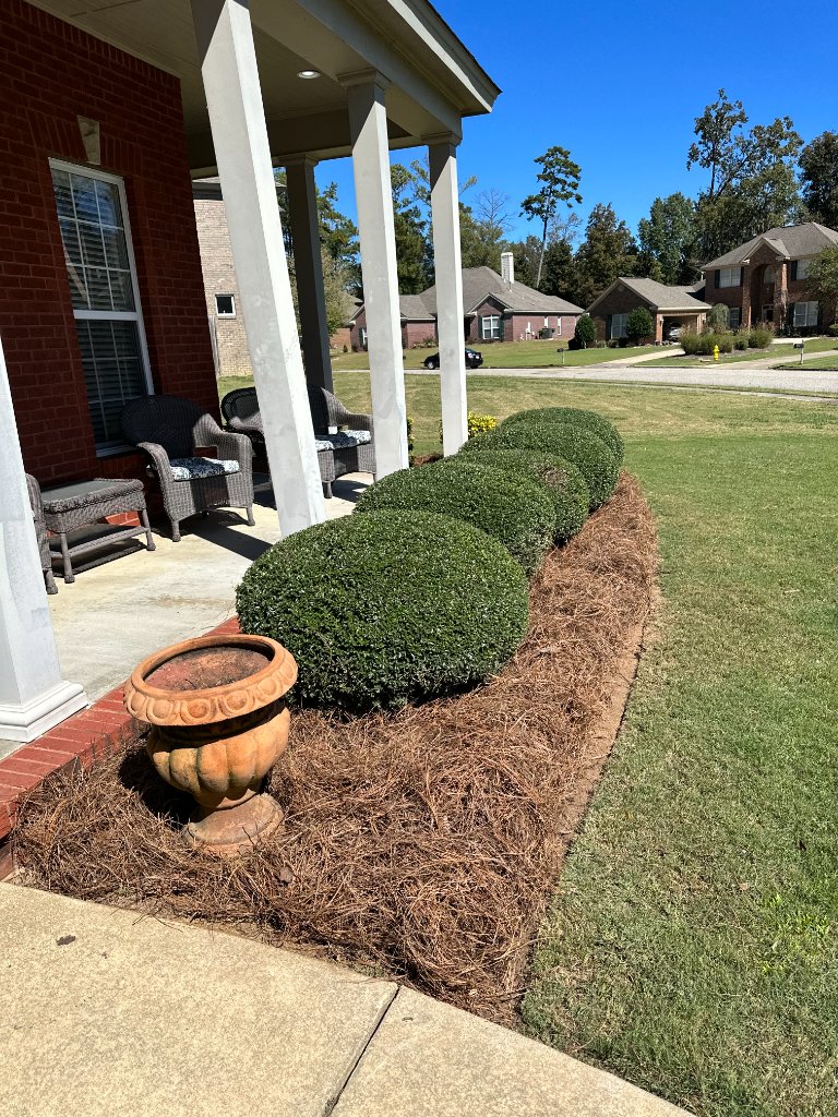 Beautiful home with well-maintained lawn in Montgomery AL