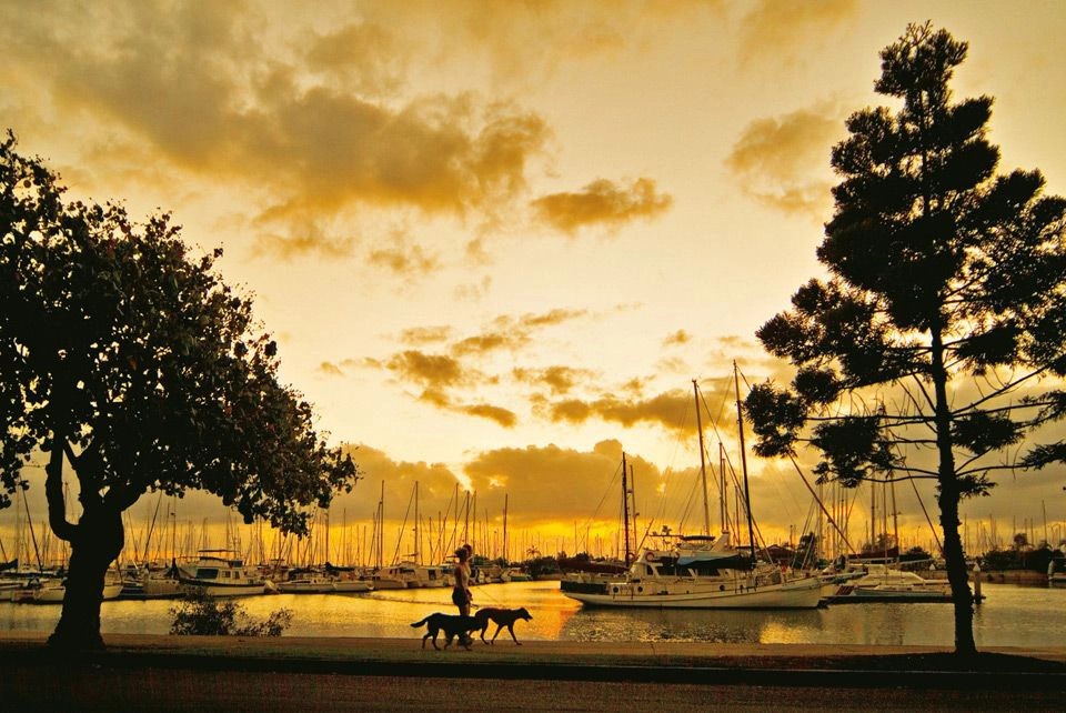 Manly Bayside at sunset