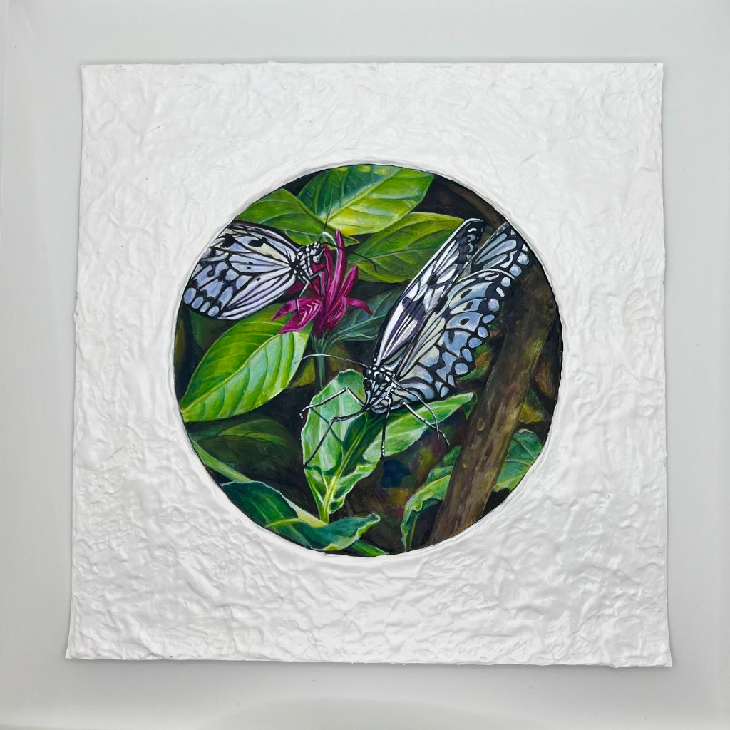 Blue Morpho in the Jungle