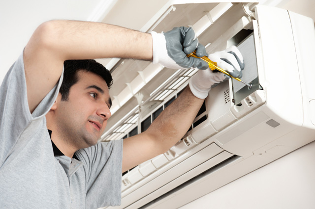 Professional Technician