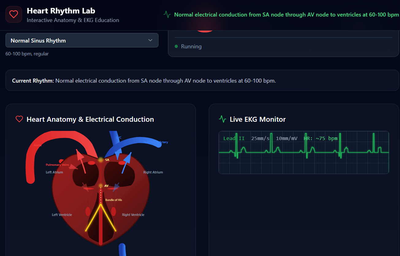 CardioSim template preview