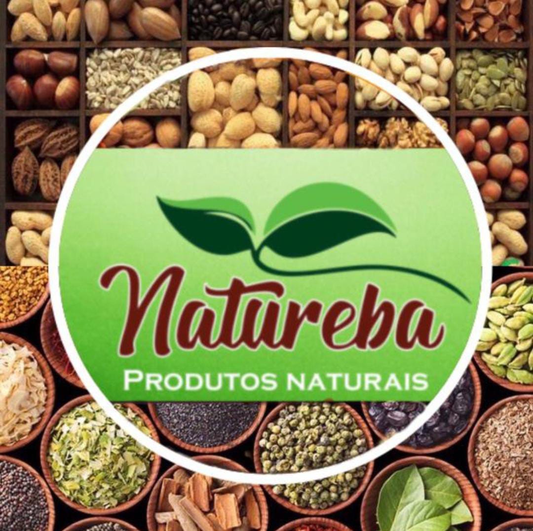 Gestão Natureba template preview