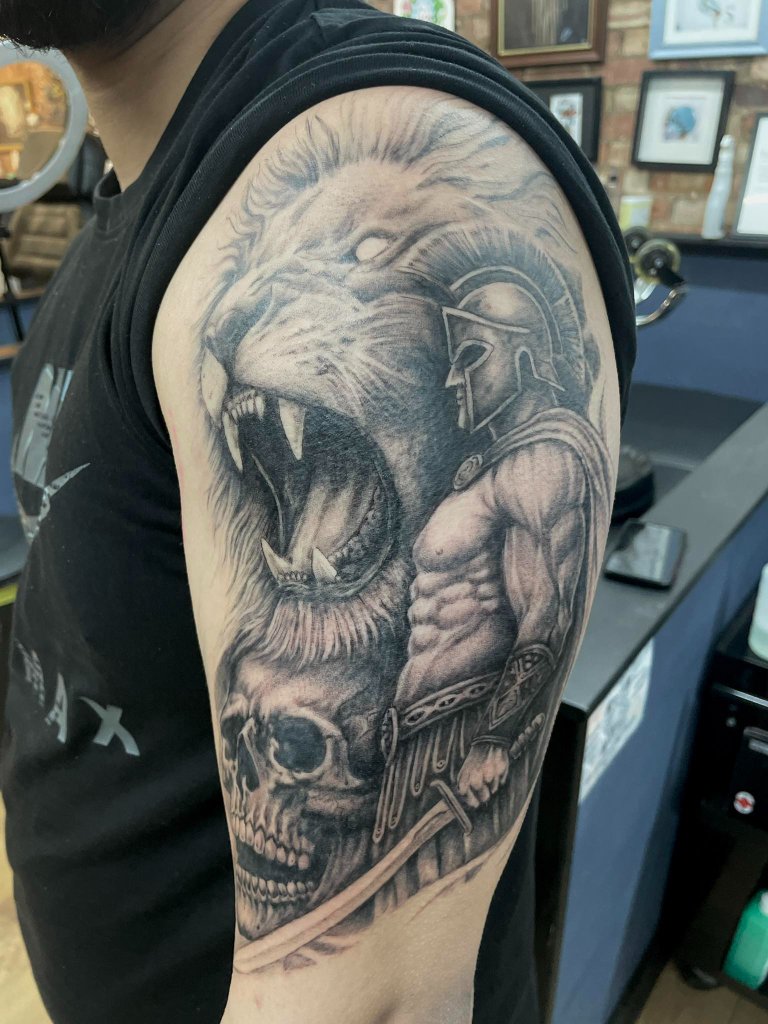 Lion vs Spartan