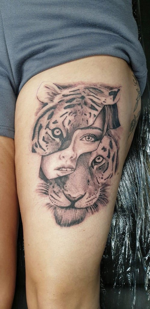 Tiger Portrait