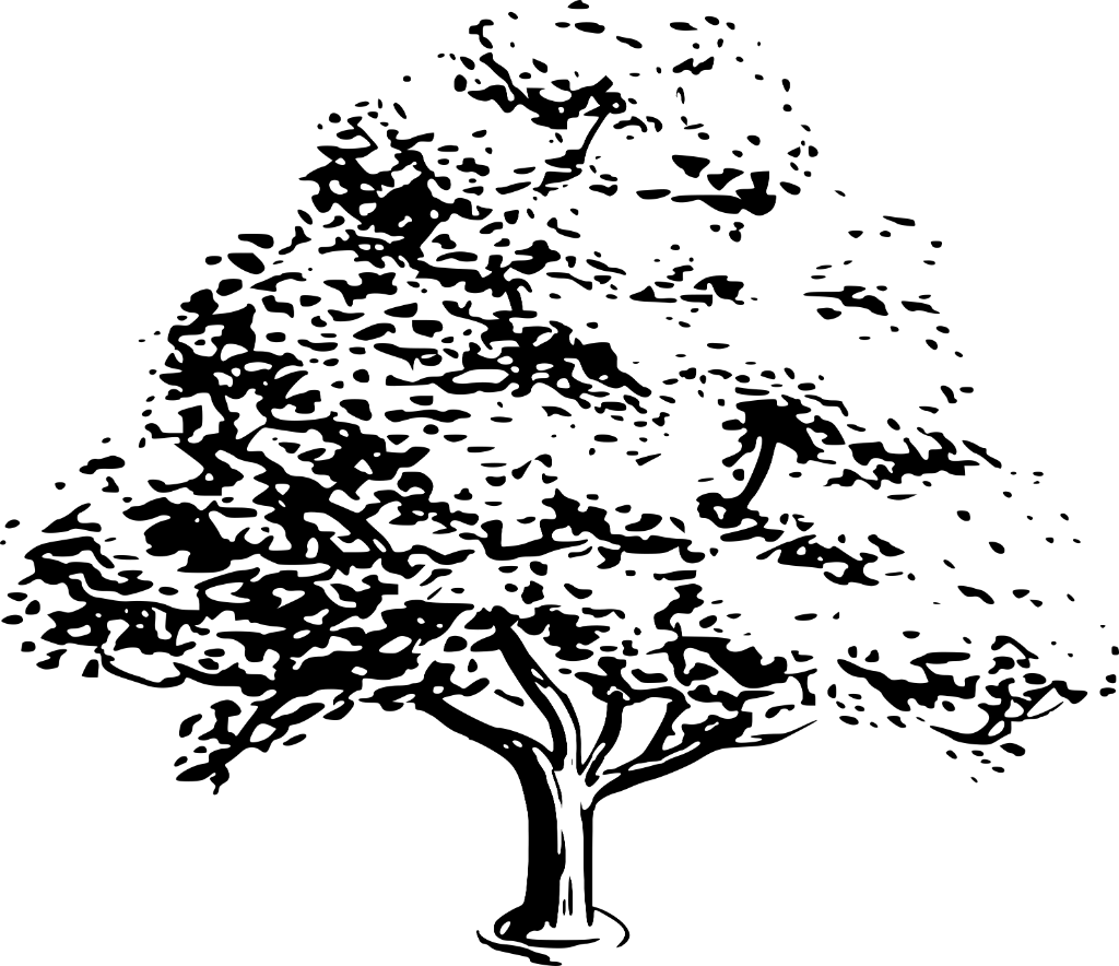 FoodSpace USA Logo
