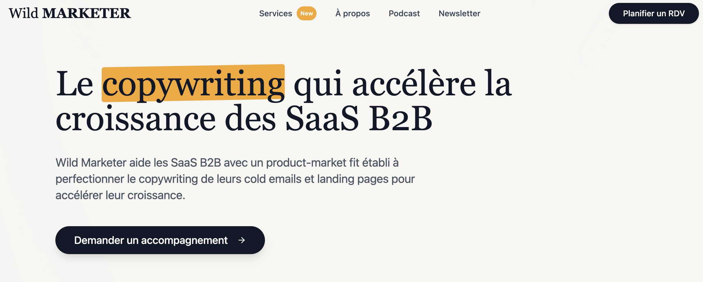 Landing page 1 template preview