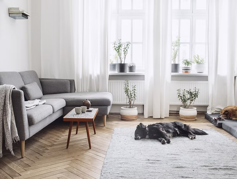 Furnishings