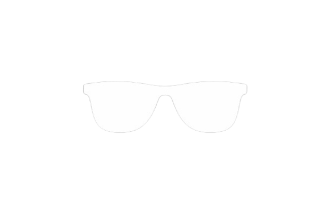 WiseGuy logo