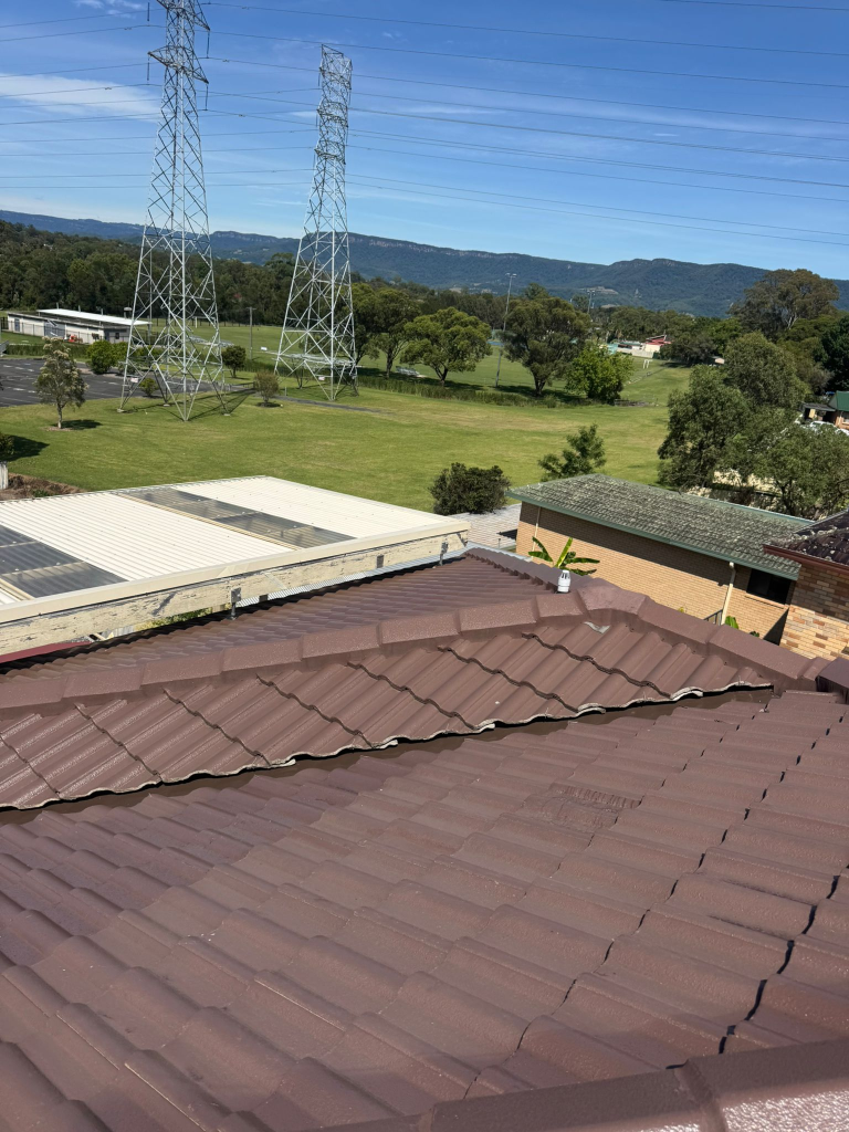 Roof Before Treatment
