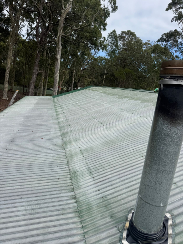 Metal Roof Cleaning