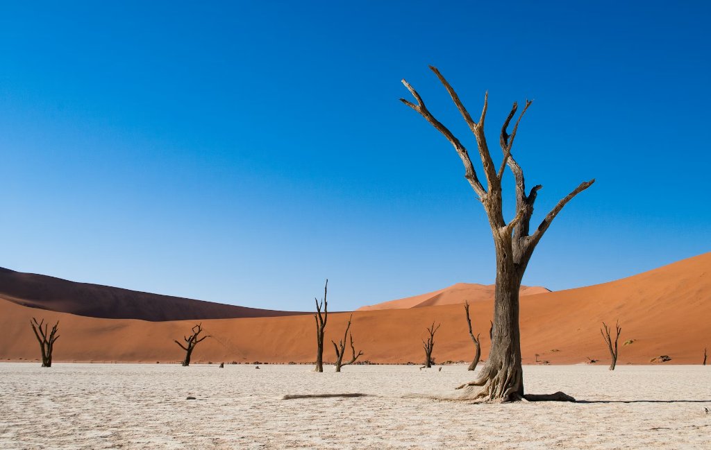 Namibia