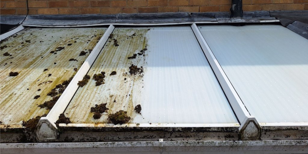 Conservatory Roof Cleaning