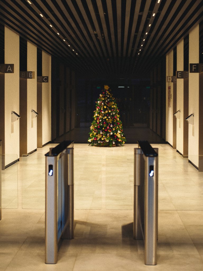 Interior Design & Décor
