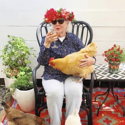 Customer holding chicken at City Chicks farm cafe Samford Valley near Mt Glorious