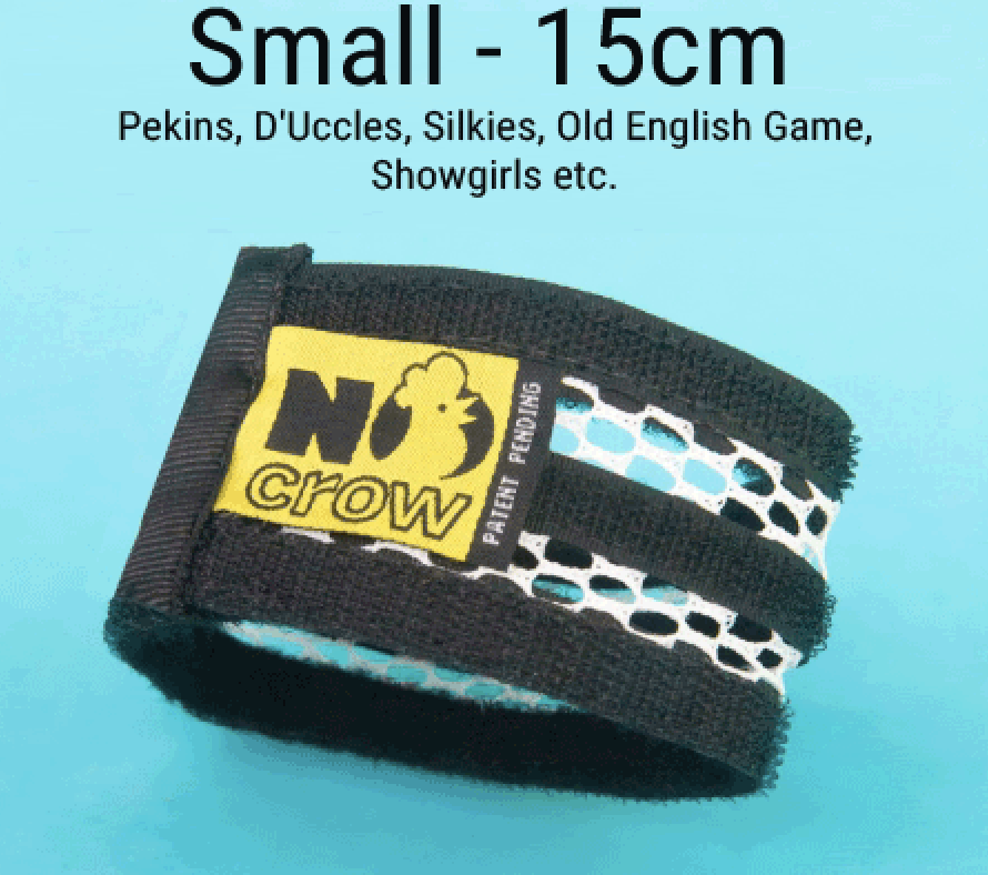 No Crow Rooster Collar - S - Small