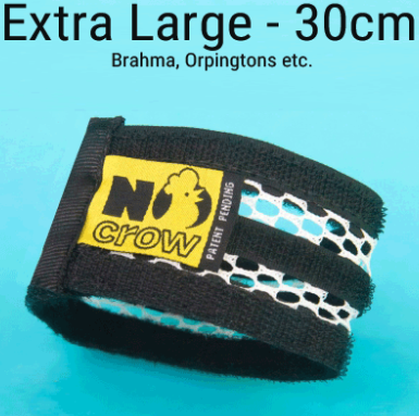 No Crow Rooster Collar - XL - Extra Large