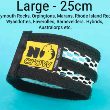 No Crow Rooster Collar - L - Large