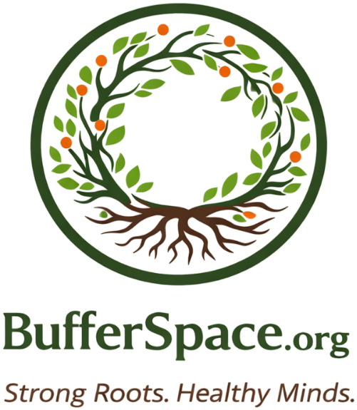 BufferSpace Logo