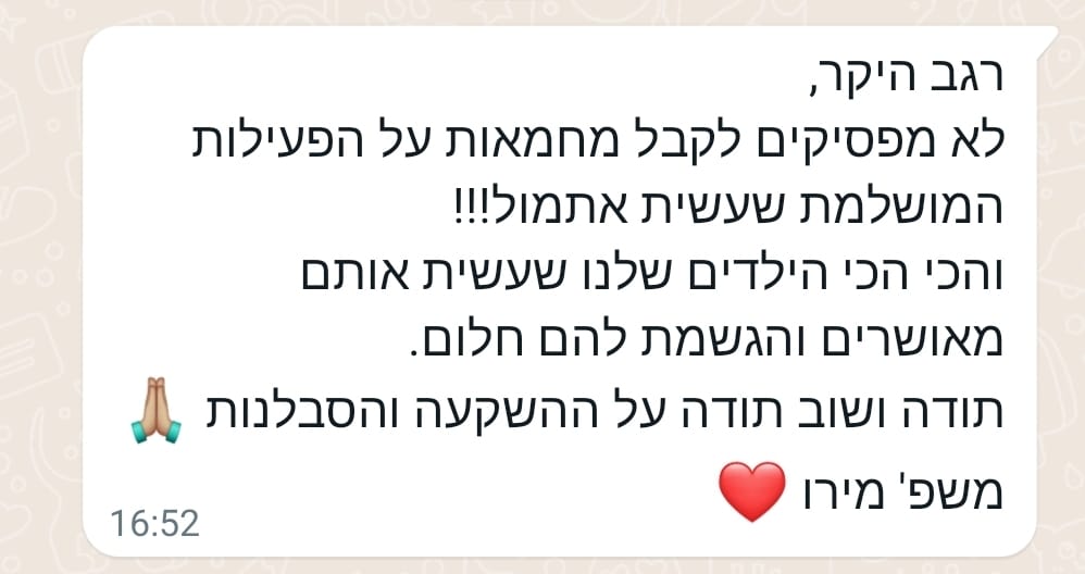 המלצה 13