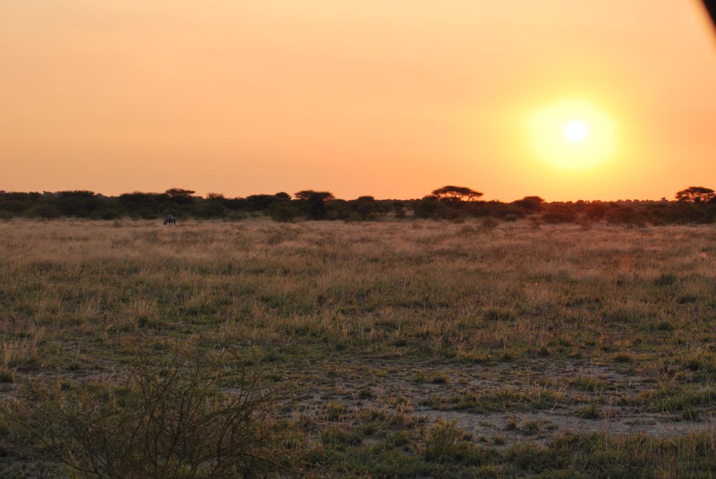 Central Kalahari