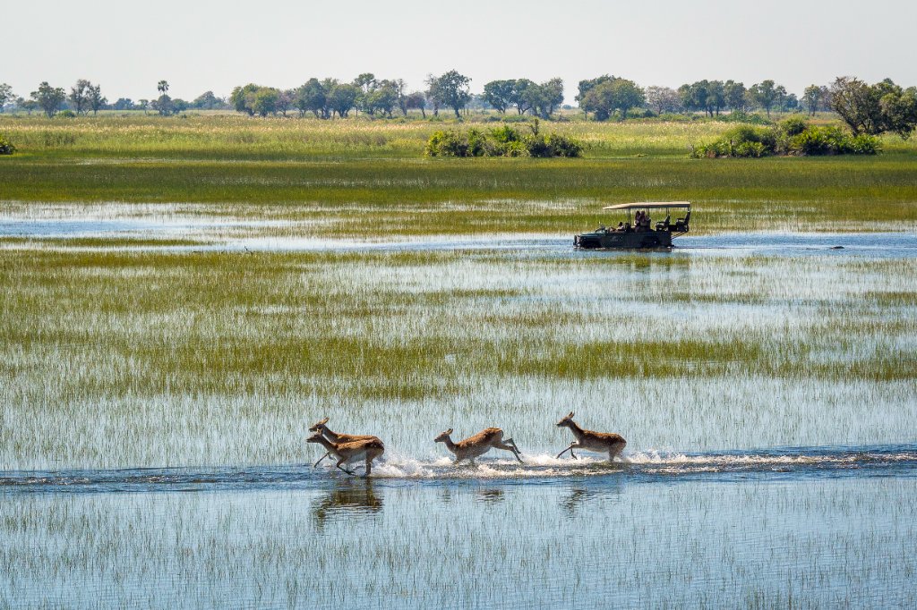 Okavango Delta
