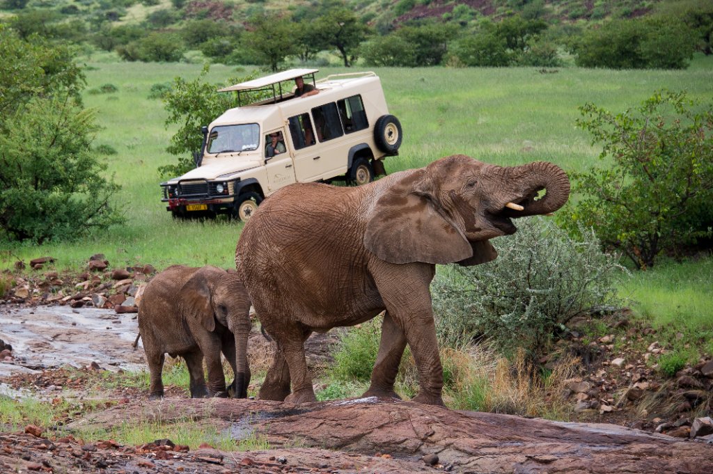 Set-Departure Safaris