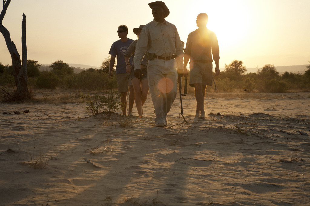 Nyerere National Park