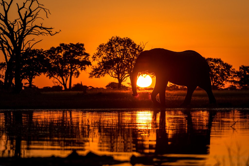 Hwange
