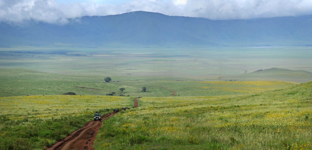 Ngorongoro Crater