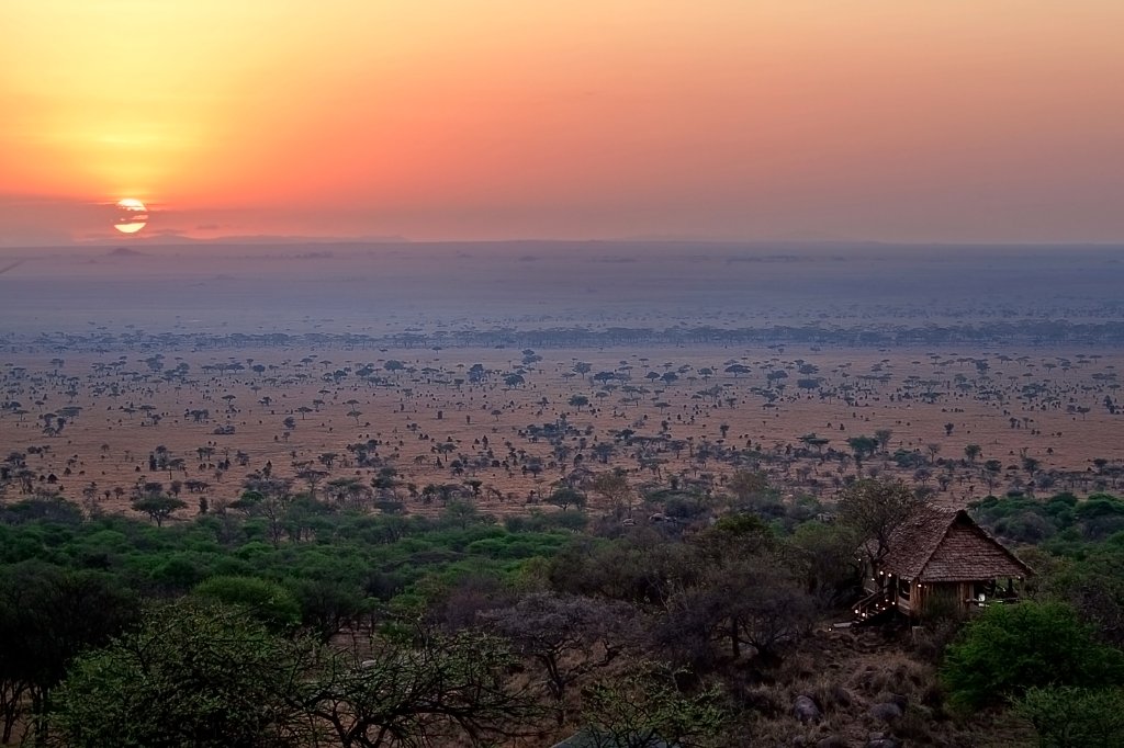 Serengeti
