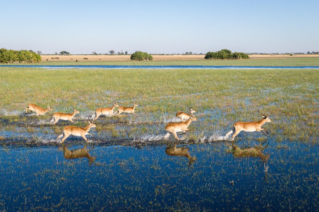 Botswana
