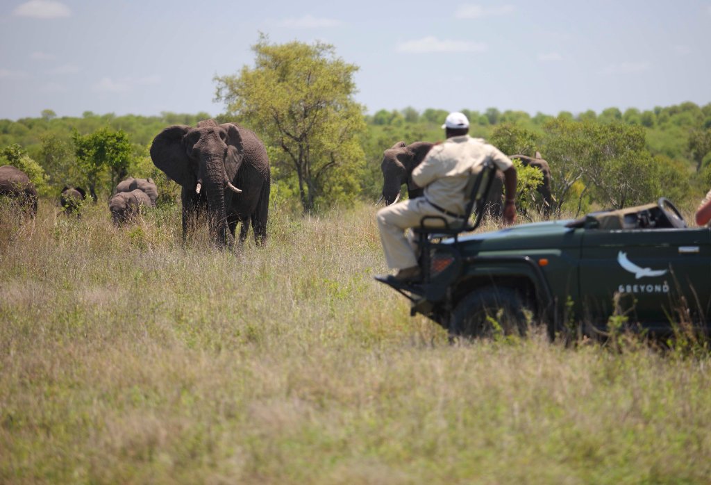 Greater Kruger Private Reserves