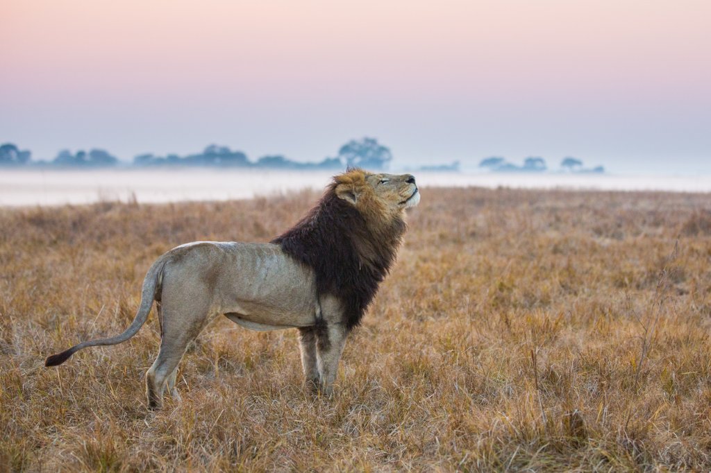 Kafue National Park