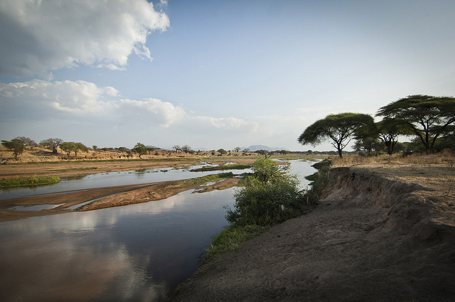 Ruaha National Park