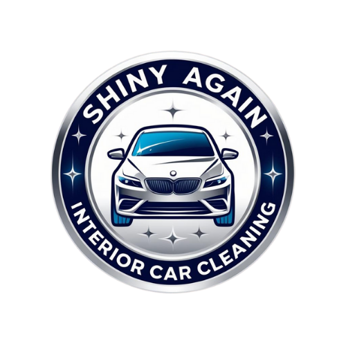 Shiny Again logo