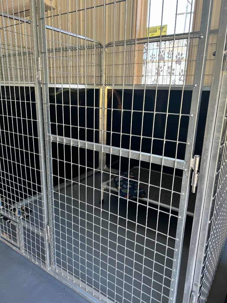 Boarding kennel close-up