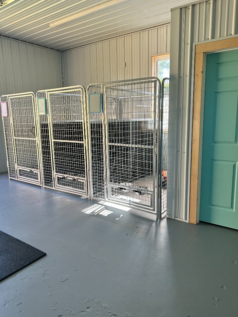 Kennel boarding room