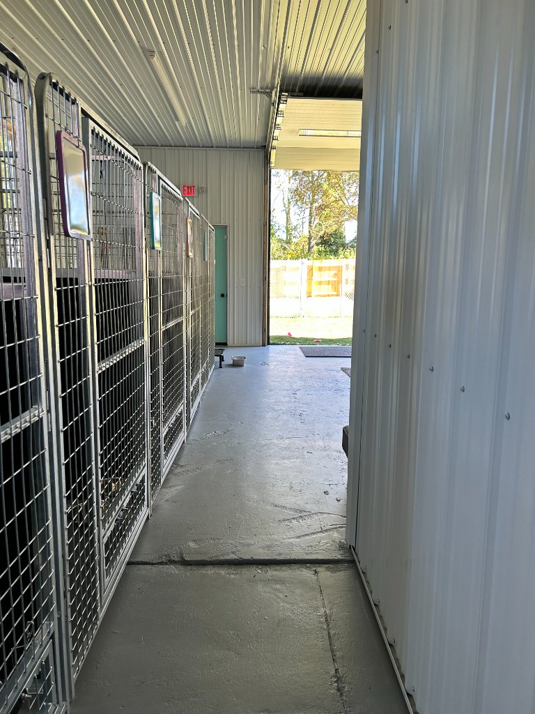 Indoor kennel hallway