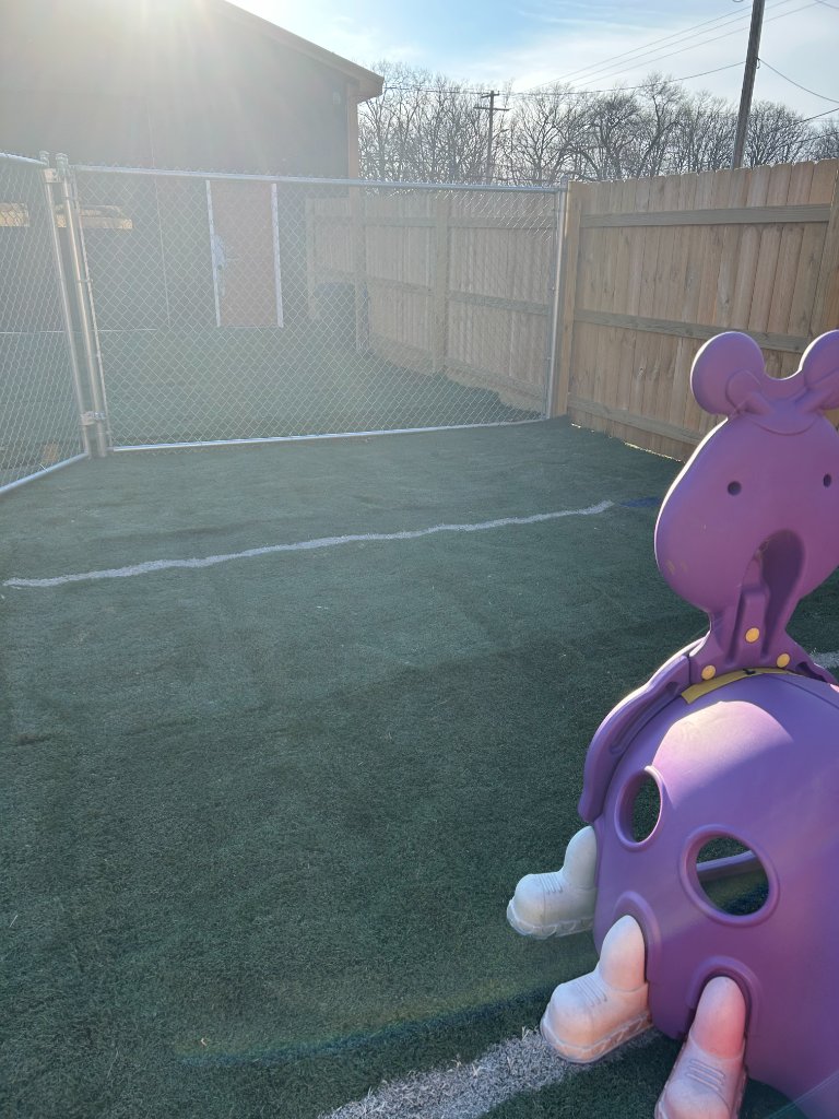 Turf play area with toy