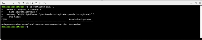 Container Status Output