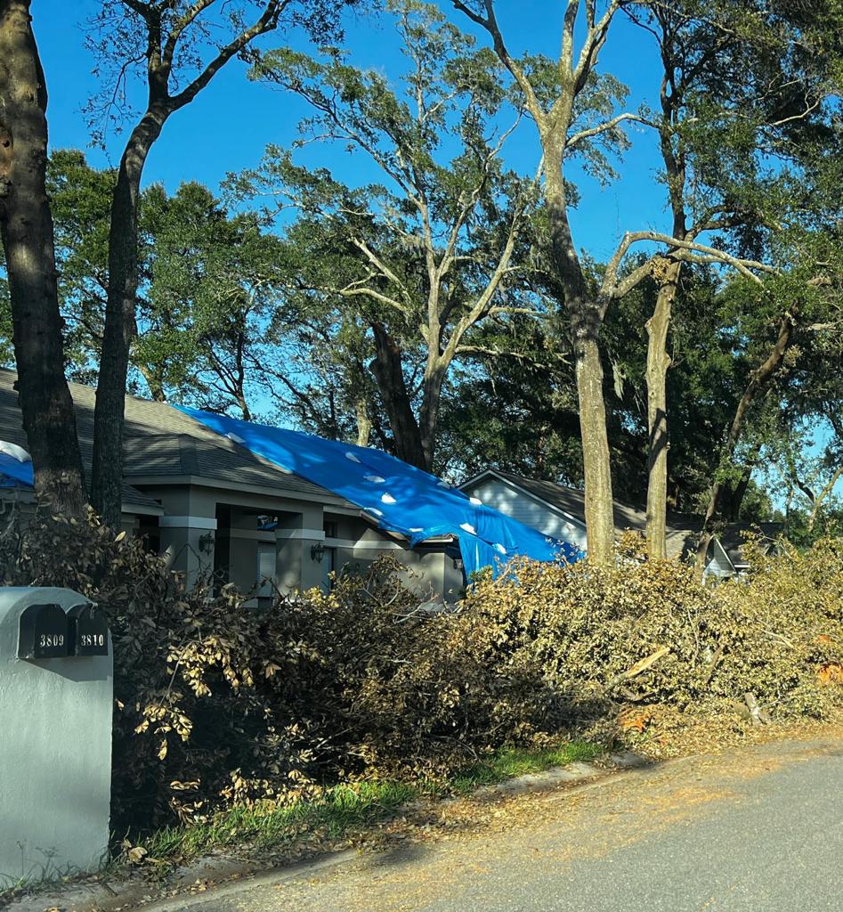Tree damage to home