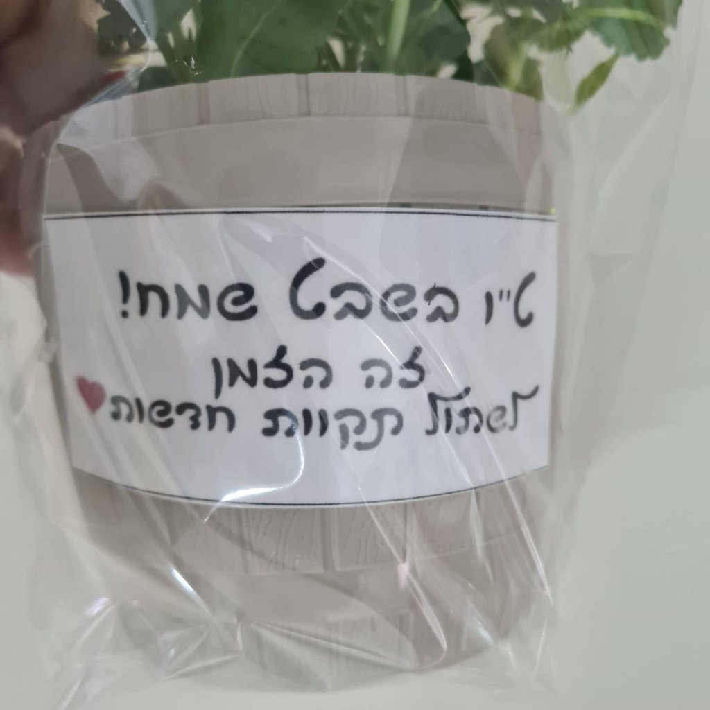 חנוכה - חנוכייה גדולה