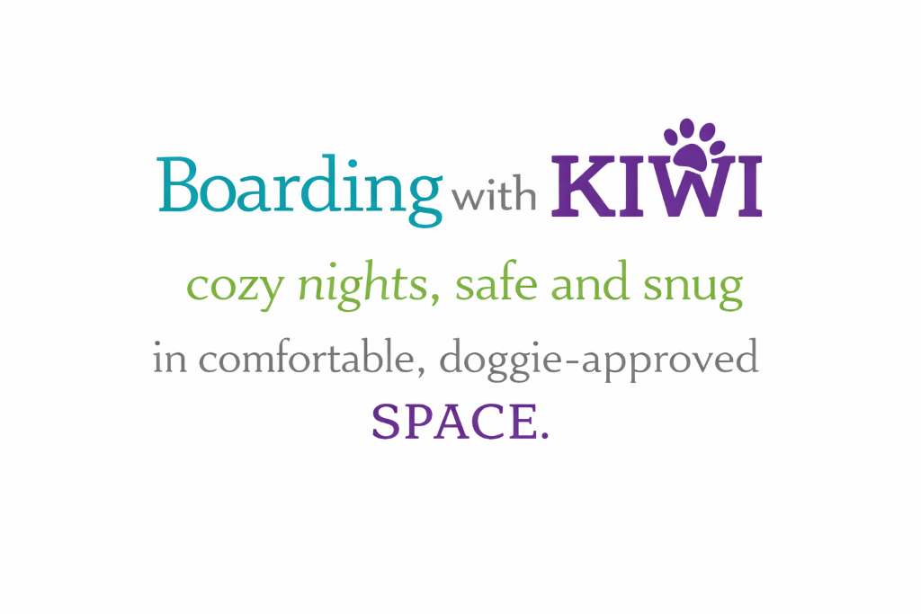KIWIdogz boarding information