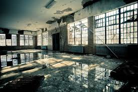 Water Intrusion & Mold Analysis