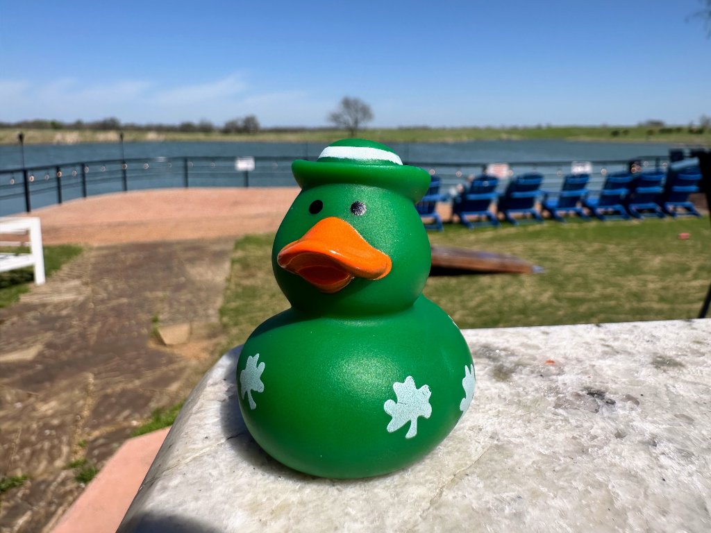 Green Hat Duck