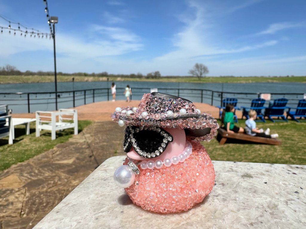 The Pink Duck