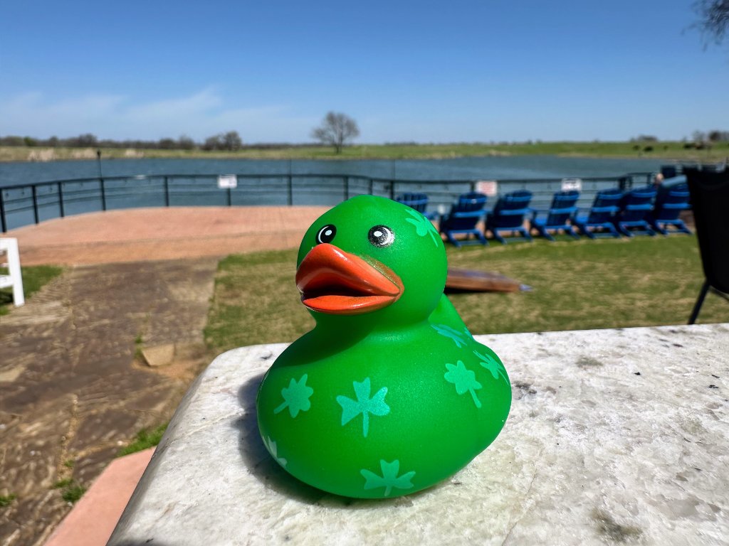 Dark Green Duck